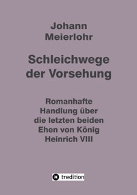 Schleichwege der Vorsehung - Johann Meierlohr - E-Book
