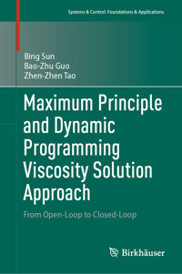 Maximum Principle and Dynamic Programming Viscosity Solution Approach - Bing Sun - E-Book