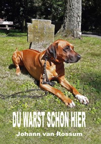 Du warst schon hier - Johann van Rossum - E-Book