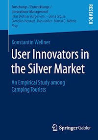 User Innovators in the Silver Market - Konstantin Wellner - E-Book