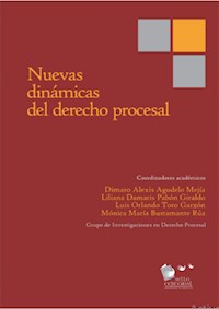 Nuevas dinámicas del derecho procesal - Amy J. Schmitz - E-Book