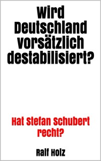 Wird Deutschland vorsätzlich destabilisiert? - Ralf Holz - E-Book
