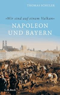 'Wir sind auf einem Vulkan' - Thomas Schuler - E-Book