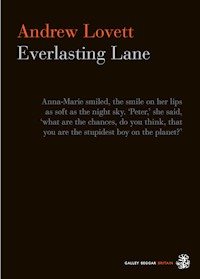 Everlasting Lane - Andrew Lovett - E-Book