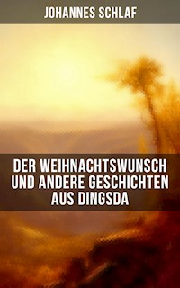 Der Weihnachtswunsch und andere Geschichten aus Dingsda - Johannes Schlaf - E-Book