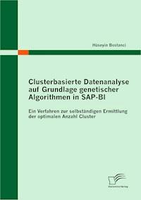 Clusterbasierte Datenanalyse auf Grundlage genetischer Algorithmen in SAP-BI - Hüseyin Bostanci - E-Book