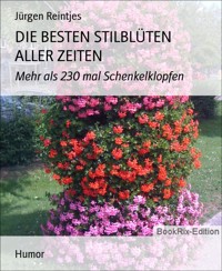 DIE BESTEN STILBLÜTEN ALLER ZEITEN - Jürgen Reintjes - E-Book