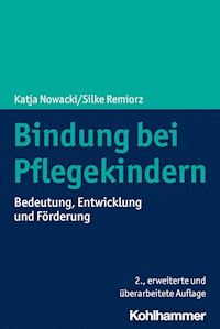 Bindung bei Pflegekindern - Silke Remiorz - E-Book