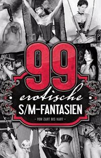 99 erotische S/M-Fantasien - A.D. Smith - E-Book