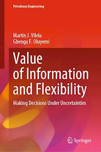 Value of Information and Flexibility - Martin J. Vilela - E-Book