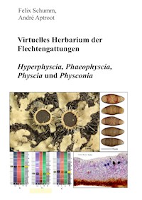 Virtuelles Herbarium der Flechtgattungen - Felix Schumm - E-Book