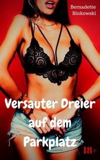 Versauter Dreier auf dem Parkplatz - Bernadette Binkowski - E-Book