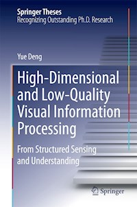 High-Dimensional and Low-Quality Visual Information Processing - Yue Deng - E-Book