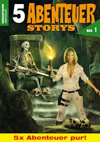 5 ABENTEUER-STORYS - Amanda McGrey - E-Book