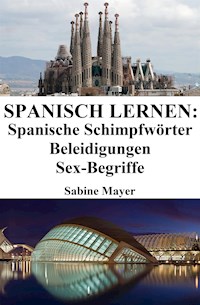 Spanisch lernen: spanische Schimpfwörter ‒ Beleidigungen ‒ Sex-Begriffe - Sabine Mayer - E-Book