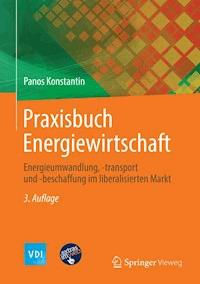 Praxisbuch Energiewirtschaft - Panos Konstantin - E-Book