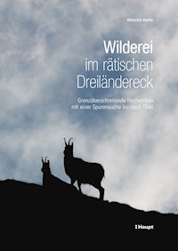 Wilderei im rätischen Dreiländereck - Heinrich Haller - E-Book