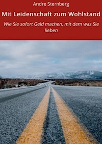 Mit Leidenschaft zum Wohlstand - Andre Sternberg - E-Book