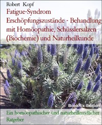 Fatigue-Syndrom Erschöpfungszustände - Behandlung mit Homöopathie, Schüsslersalzen (Biochemie) und Naturheilkunde - Robert Kopf - E-Book