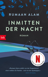 Inmitten der Nacht - Rumaan Alam - E-Book