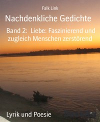 Nachdenkliche Gedichte - Falk Link - E-Book