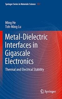 Metal-Dielectric Interfaces in Gigascale Electronics - Ming He - E-Book
