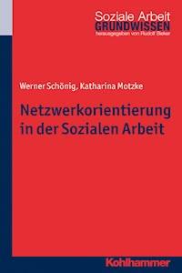 Netzwerkorientierung in der Sozialen Arbeit - Werner Schönig - E-Book