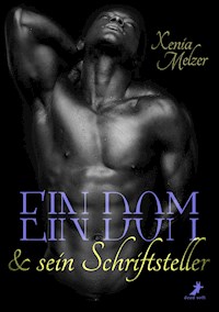 Ein Dom und sein Schriftsteller - Xenia Melzer - E-Book