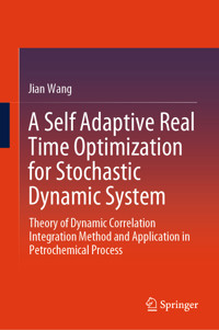 A Self Adaptive Real Time Optimization for Stochastic Dynamic System - Jian Wang - E-Book