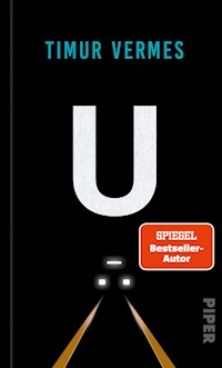 U - Timur Vermes - E-Book