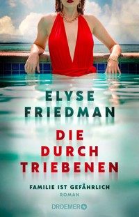 Die Durchtriebenen - Elyse Friedman - E-Book