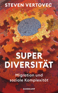 Superdiversität - Steven Vertovec - E-Book