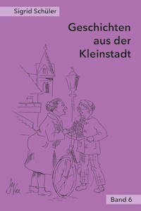 Geschichten aus der Kleinstadt, Band 6 - Sigrid Schüler - E-Book