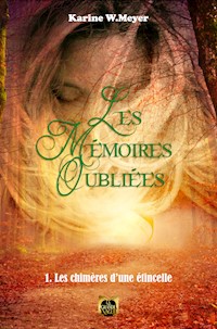 Les Mémoires Oubliées - Tome 1 - Karine W. Meyer - E-Book