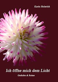 Ich öffne mich dem Licht - Karin Heinrich - E-Book