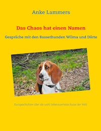 Das Chaos hat einen Namen - Anke Lammers - E-Book