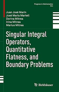 Singular Integral Operators, Quantitative Flatness, and Boundary Problems - Juan José Marín - E-Book