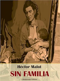 Sin familia - Hector Malot - E-Book