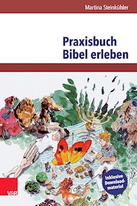 Praxisbuch Bibel erleben - Martina Steinkühler - E-Book
