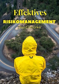 Effektives Risikomanagement - David Schünke - E-Book