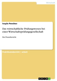 Das wirtschaftliche Prüfungswesen bei einer Wirtschaftsprüfungsgesellschaft - Ivaylo Penchev - E-Book