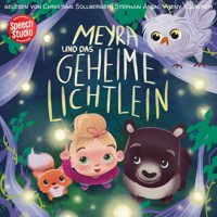 Meyra und das geheime Lichtlein - Franziska Haudenschild - Hörbuch