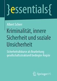 Kriminalität, innere Sicherheit und soziale Unsicherheit - Albert Scherr - E-Book
