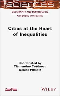 Cities at the Heart of Inequalities - Clementine Cottineau - E-Book