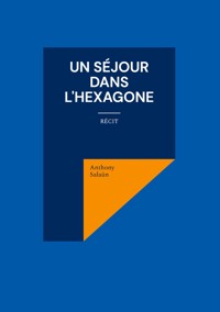 Un séjour dans l'Hexagone - Anthony Salaün - E-Book