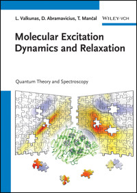 Molecular Excitation Dynamics and Relaxation - Leonas Valkunas - E-Book