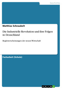 Die Industrielle Revolution und ihre Folgen in Deuschland - Matthias Schnaubelt - E-Book