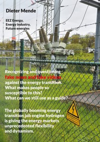 Recognizing and questioning fake news and fake videos against the energy transition. What makes people so susceptible to this? What can we still use as a guide? - Dieter Mende - E-Book