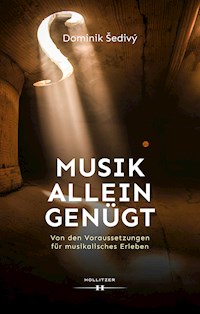 Musik allein genügt - Dominik Šedivý - E-Book