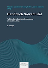 Handbuch Solvabilität - Thorsten Gendrisch - E-Book